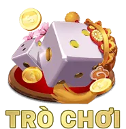 Chương Trình VIP Đặc Quyền